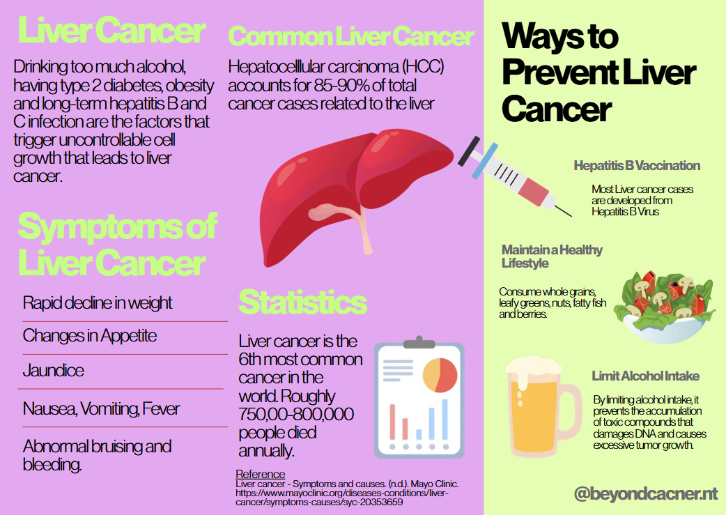 Liver Cancer infographic — what it is, symptoms, and prevention